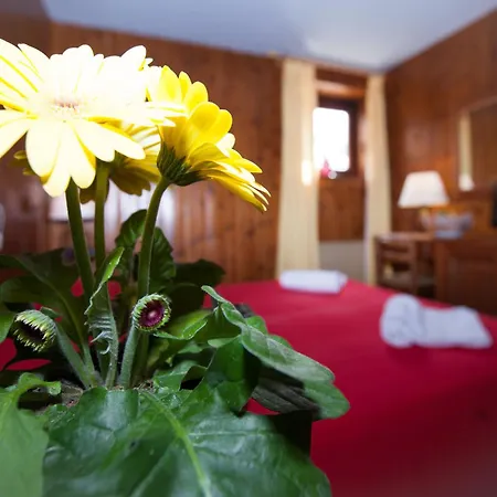 ホテル Club Esse 2000 3*